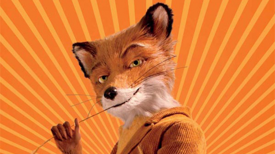 M.Fox